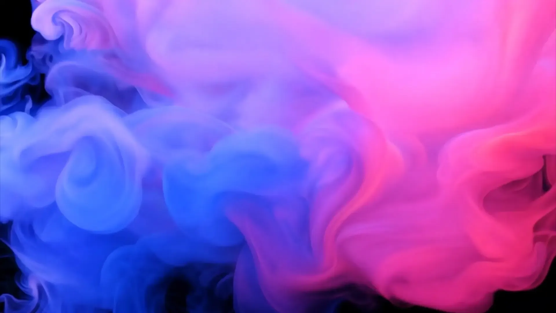 Mystical Pink and Blue Fog Logo Animation Background